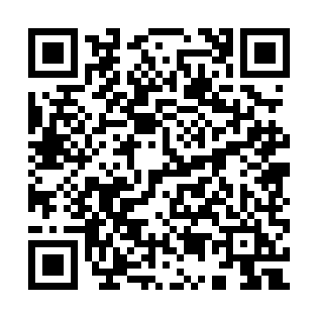 QR code for 9500MIV