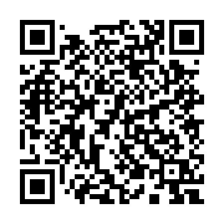 QR code for 9500QQ