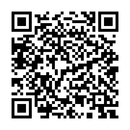 QR code for 9500THF