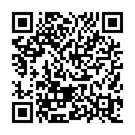 QR code for 9501DI