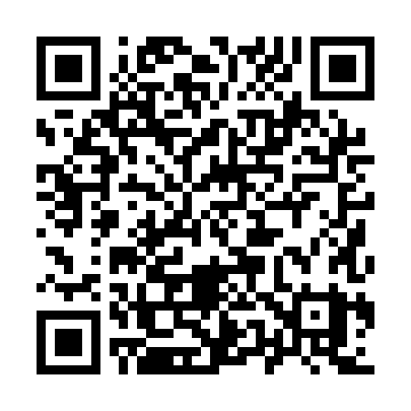 QR code for 9501HY