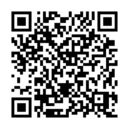 QR code for 9503JS