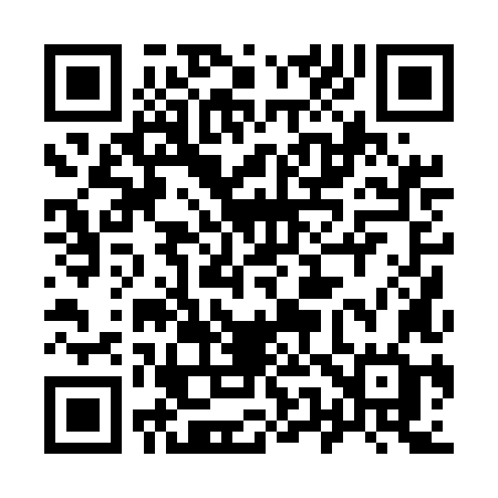 QR code for 9505LG