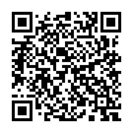 QR code for 9509EK