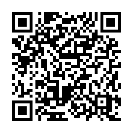 QR code for 9509HX