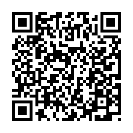 QR code for 9509ZYR
