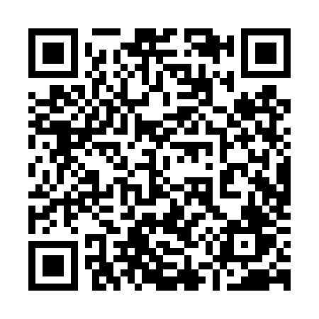 QR code for 950TZV