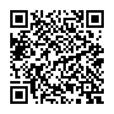 QR code for 9513DIC