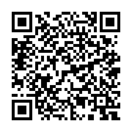 QR code for 9516NIK