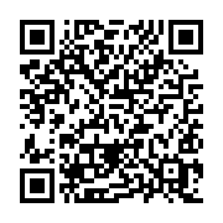 QR code for 951PYG