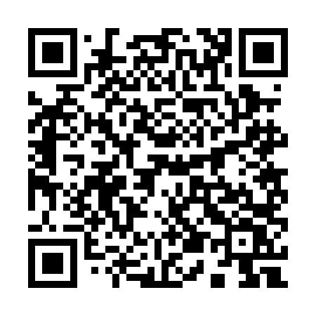 QR code for 9520LV