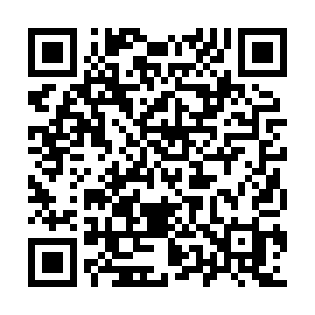QR code for 9528QI