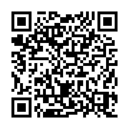 QR code for 9528SS