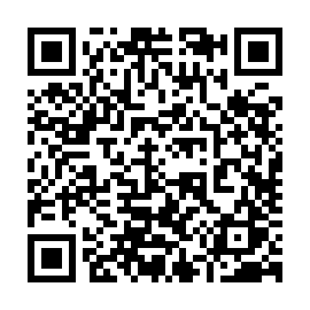 QR code for 9529JS