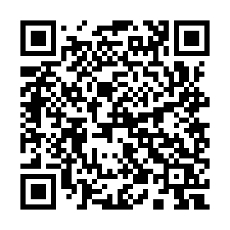 QR code for 9529XS
