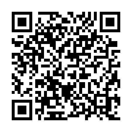 QR code for 9533SJ
