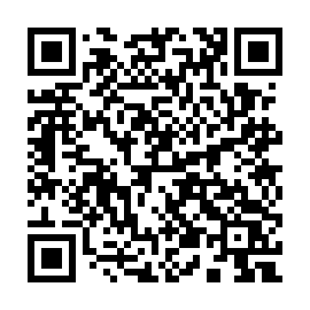 QR code for 9535DS