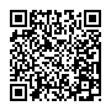 QR code for 9535GEI