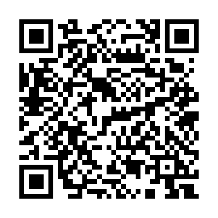 QR code for 9536TIC