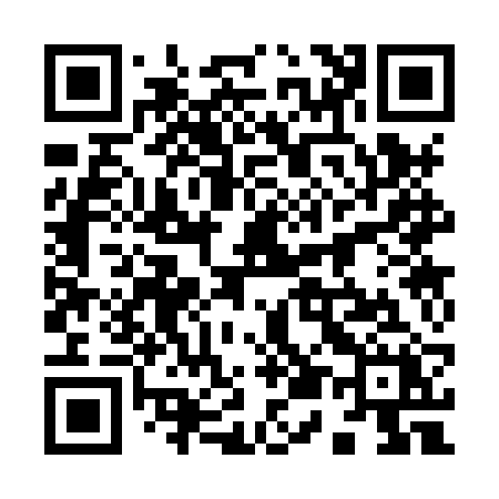 QR code for 9538RX