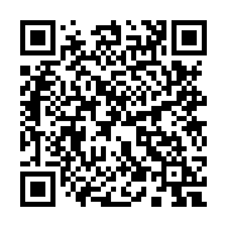 QR code for 9538SI