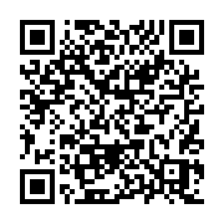 QR code for 9541DS