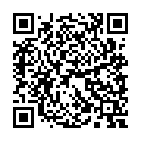QR code for 9541MR