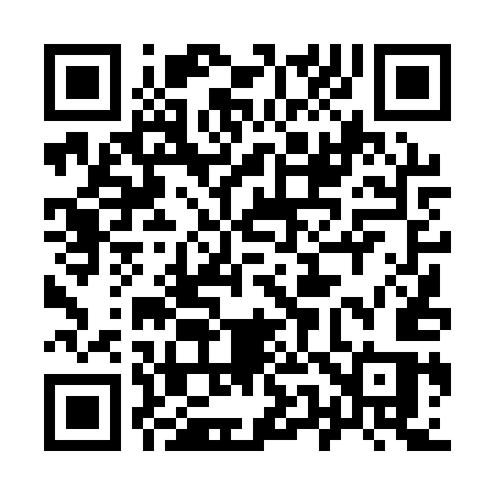 QR code for 9541US
