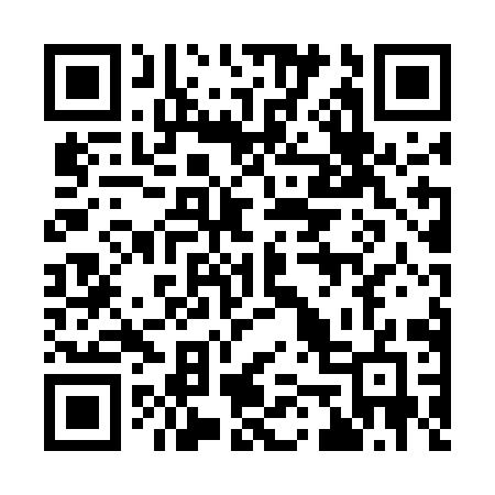 QR code for 9545IG