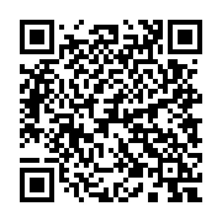 QR code for 9545VI