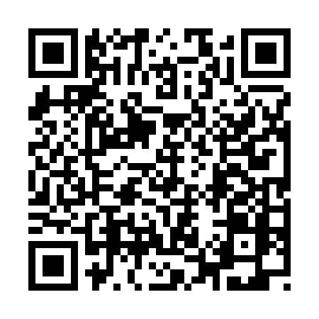 QR code for 9553NIU
