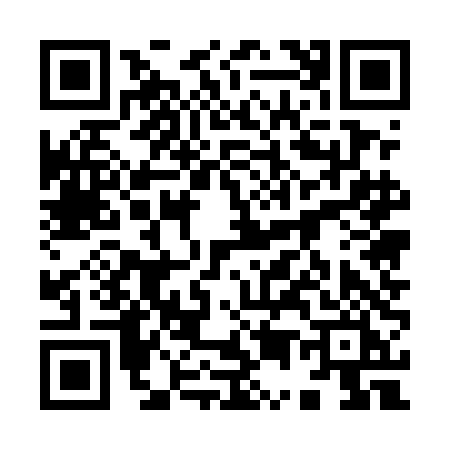 QR code for 9555DIG
