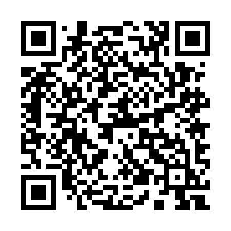 QR code for 9555IJ