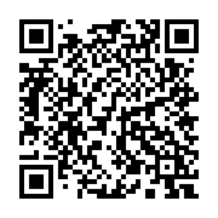 QR code for 9555PZ