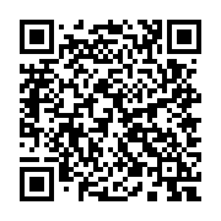 QR code for 9555ZI