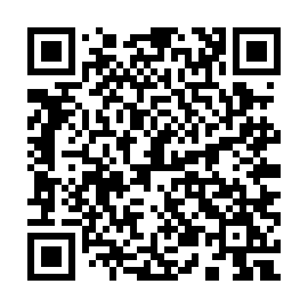 QR code for 955PLM