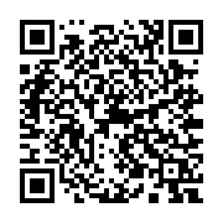 QR code for 955PNP