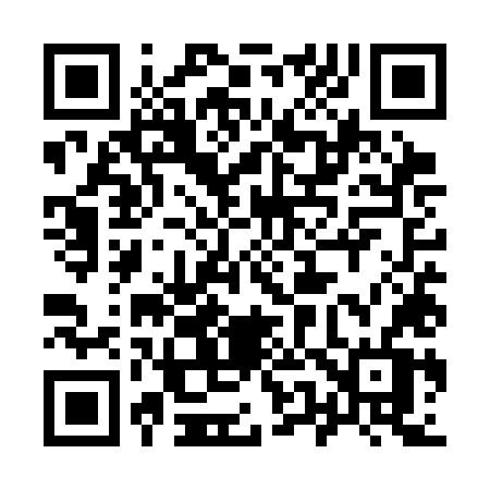QR code for 955SLV