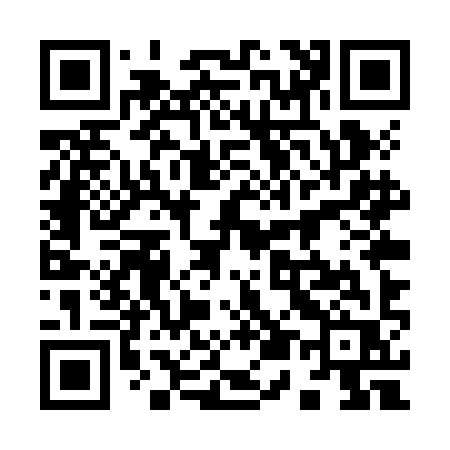 QR code for 955ZIR