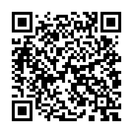 QR code for 9566ZI