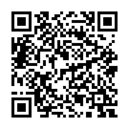 QR code for 9593PMP