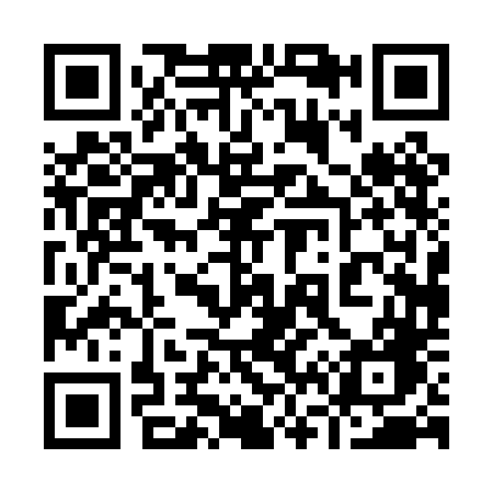 QR code for 9600DG
