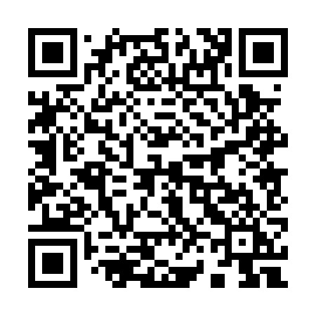 QR code for 9600ZI
