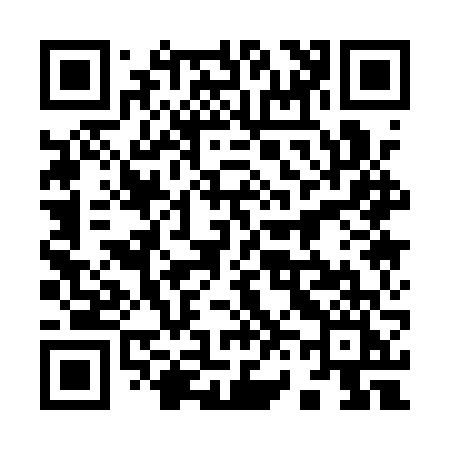 QR code for 9611VI
