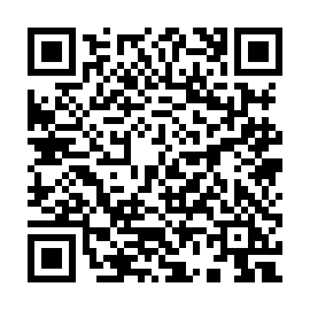 QR code for 9618DIG