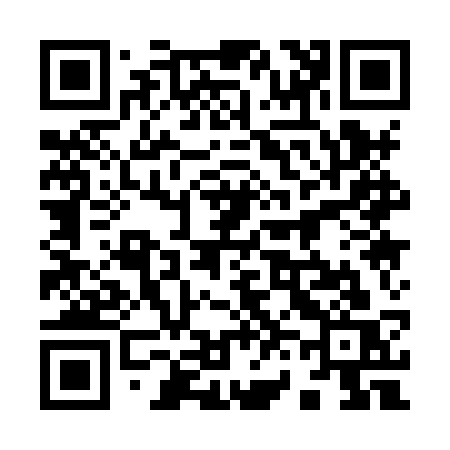 QR code for 9618SS