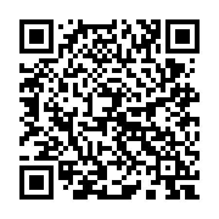 QR code for 963FEI