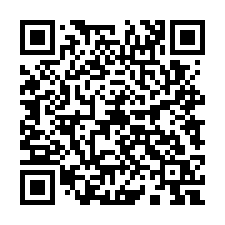 QR code for 9647SS