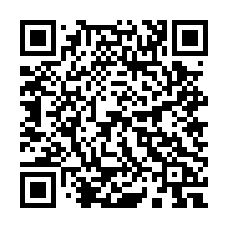 QR code for 9650PC