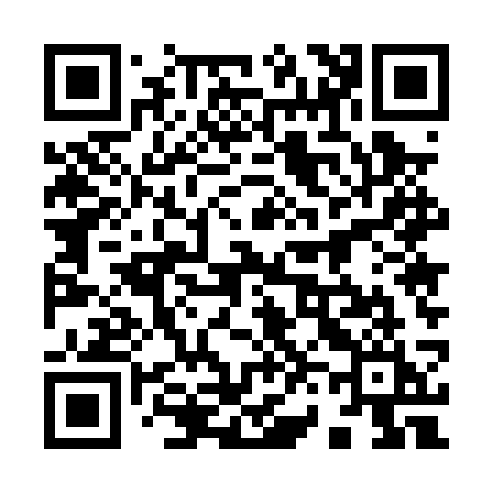 QR code for 9650SI